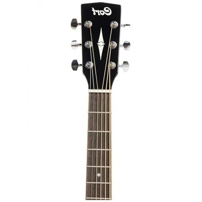 Elektro Akustik Gitar, Kılıf Dâhil, Doğal Renk Seçeneği