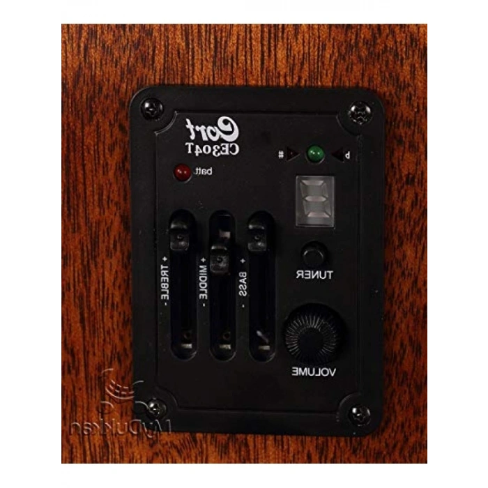 Elektro Akustik Gitar - Kılıflı ve 6 Tel ile