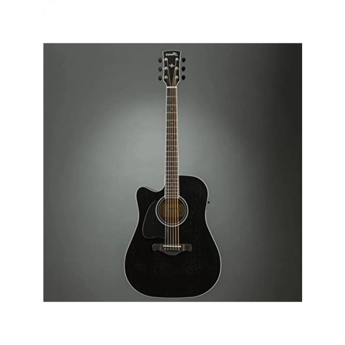 Elektro Akustik Gitar - Yüksek Ses Kalitesi