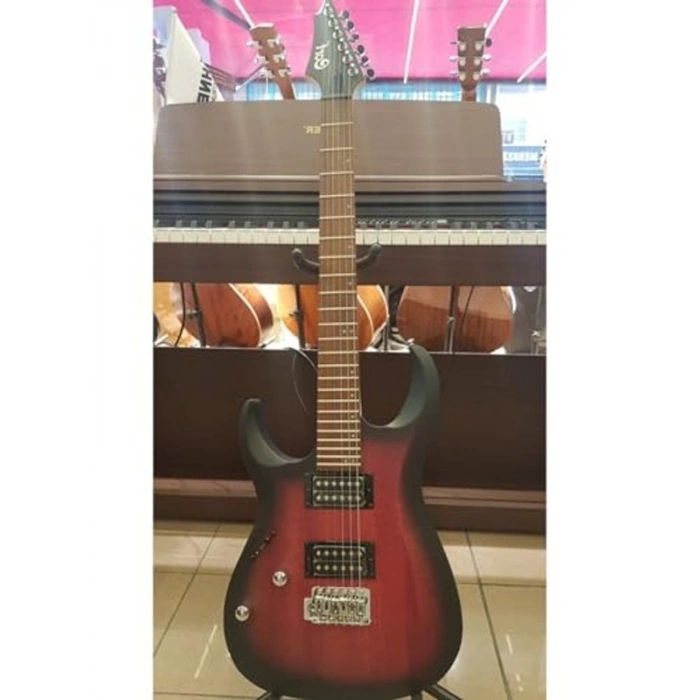 Elektro Gitar Kılıfı, Aksesuar Seti ile Birlikte, Güvenli Taşıma