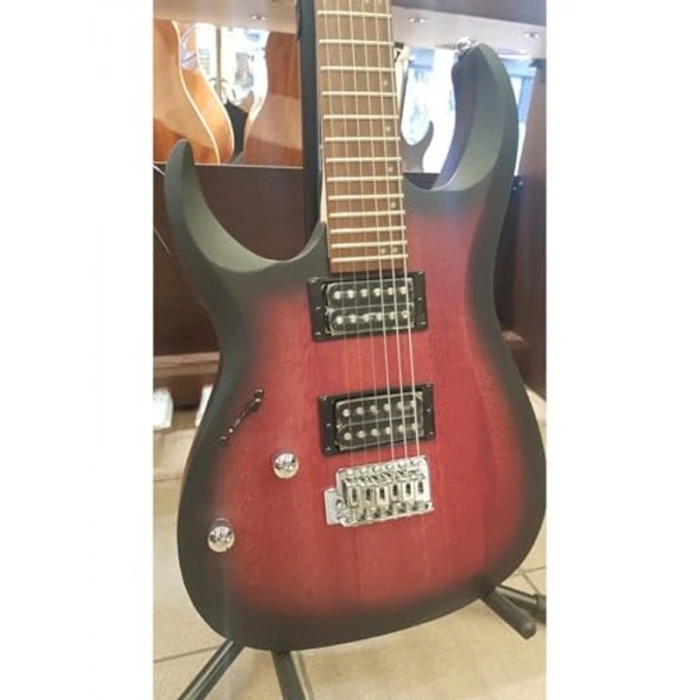 Elektro Gitar Kılıfı, Aksesuar Seti ile Birlikte, Güvenli Taşıma