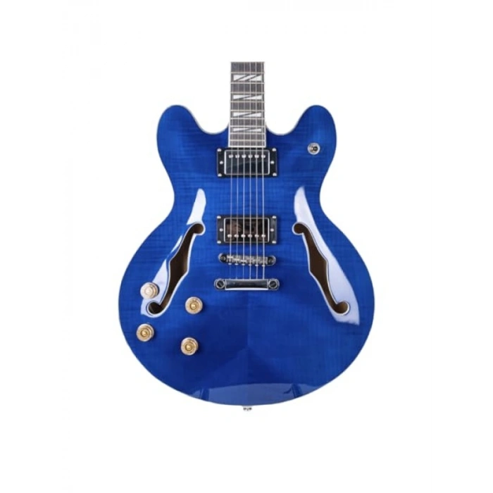 Elektro Gitar Modeli SEG-272TBL