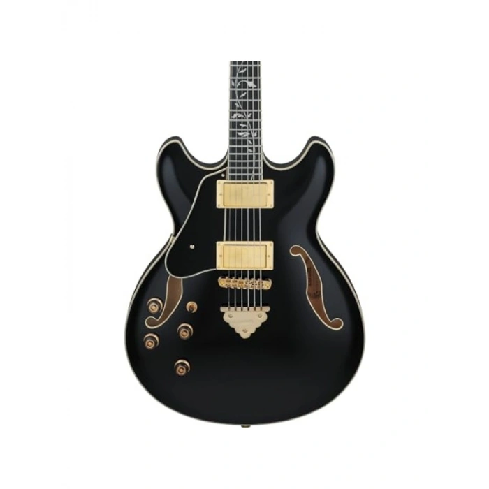 Elektro Gitar - Üst Düzey Ses Kalitesi