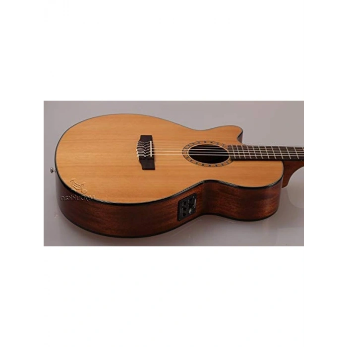 Elektro Klasik Gitar, CEC5 Modeli, Doğa ile Müzik Arasındaki Bağlantı
