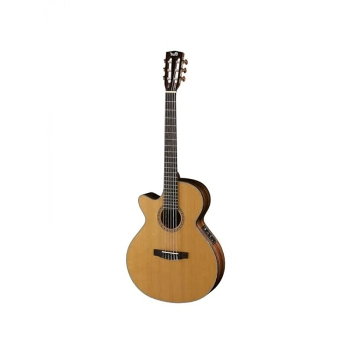 Elektro Klasik Gitar ile Müzik Tutkunları için İdeal Seçim