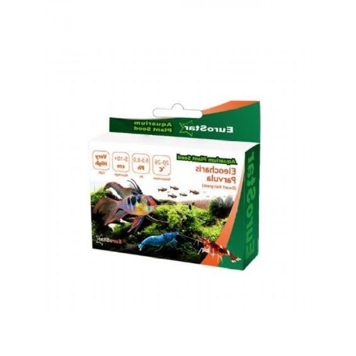 Eleocharis Parvula Bitki Tohumu