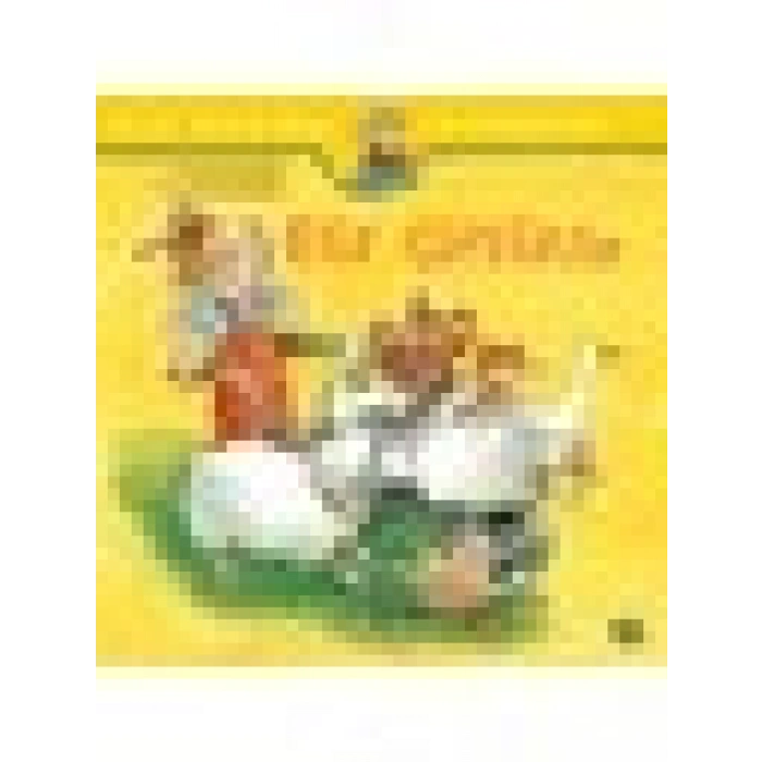 Elif Çiftlikte - İlk Okuma Kitabım - Liane Schneider