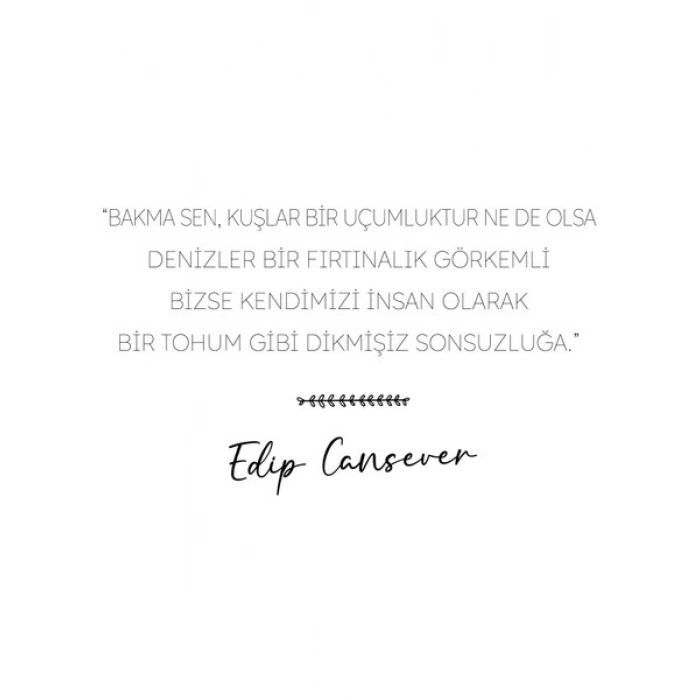 Elma Yayınevi At Şu Adımı