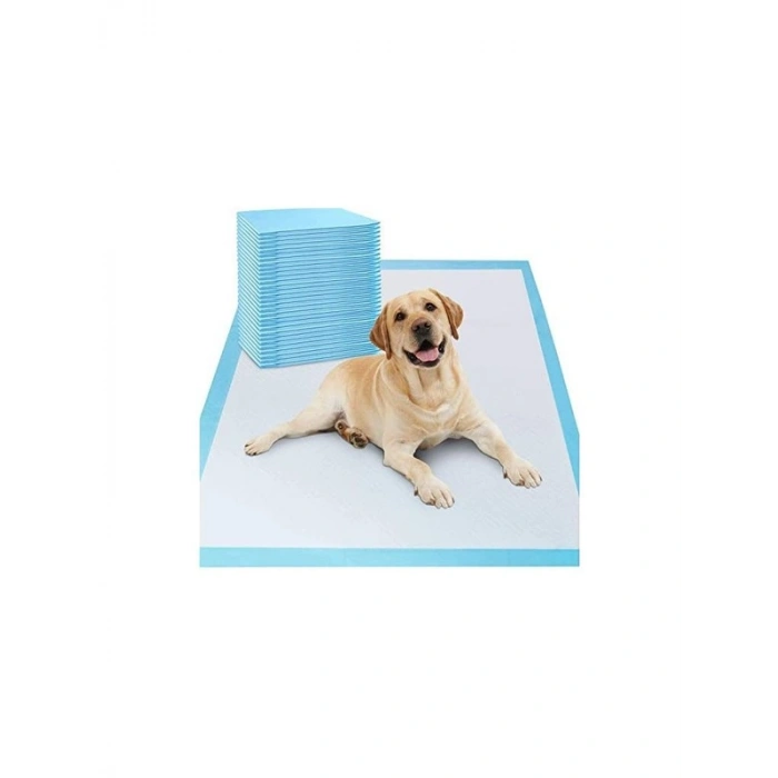 Emici Kedi Köpek Pedi, 60x90 cm Boyutlarında Kullanışlı
