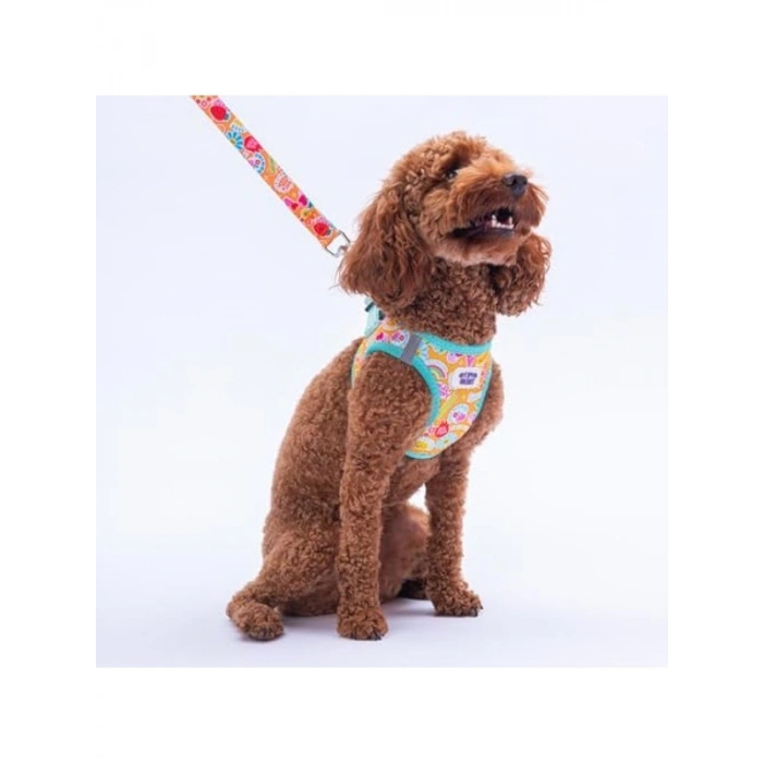 Emojili Kedi ve Köpekler İçin Göğüs Tasması ve Kayış Seti