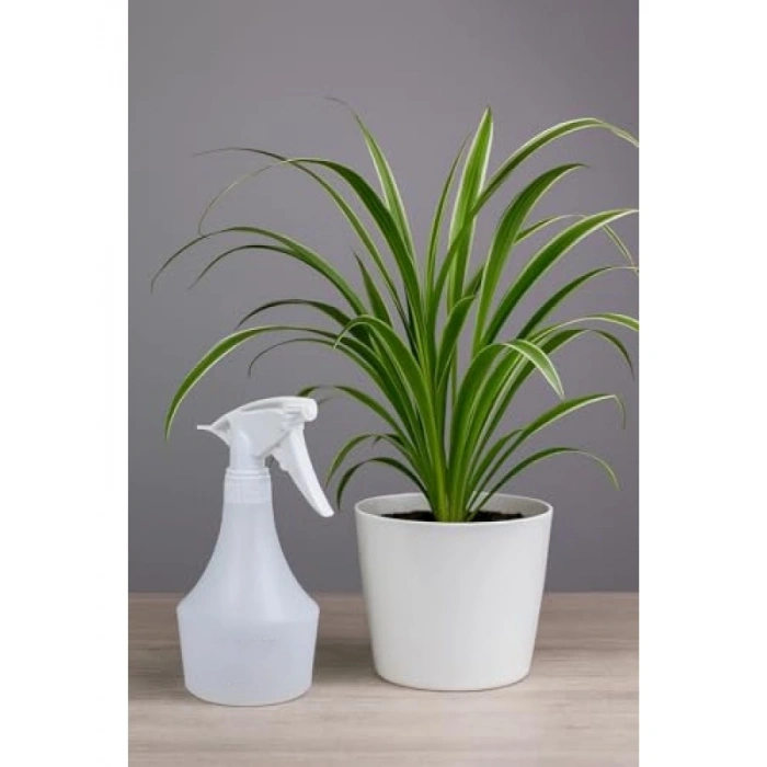 Endüstriyel Fısfıs 0,5 Litre - Elle Çalıştırılan, 1.0cc