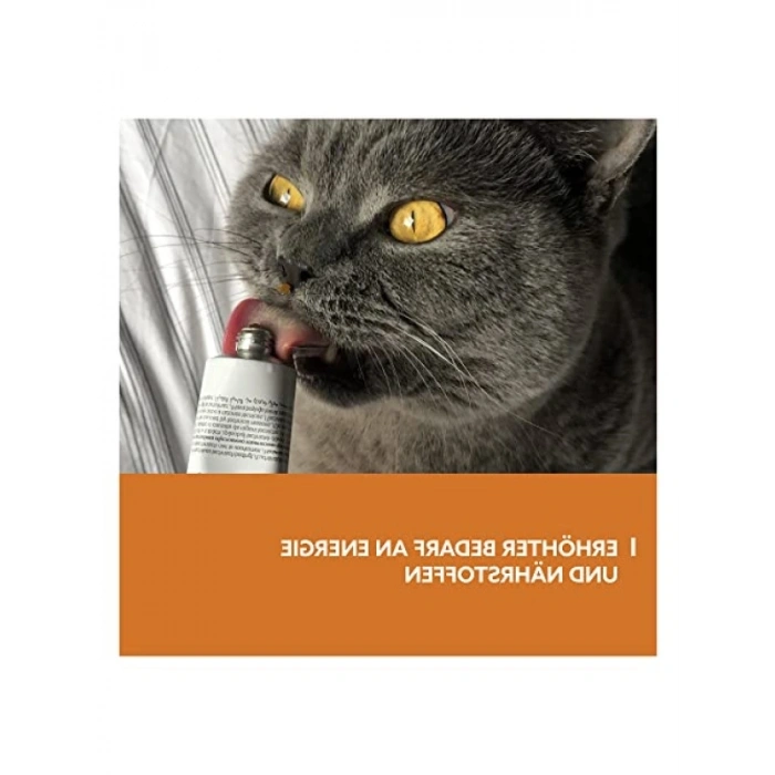 Enerji Macunu, Kedi için, 50 g