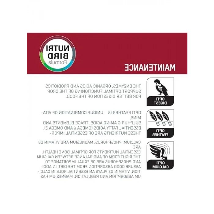 Enerji Sınıfı A+ Papağan Pelet Yem 1 Kg