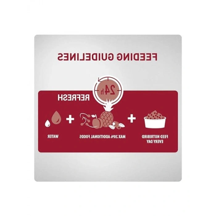 Enerji Sınıfı A+ Papağan Pelet Yem 1 Kg