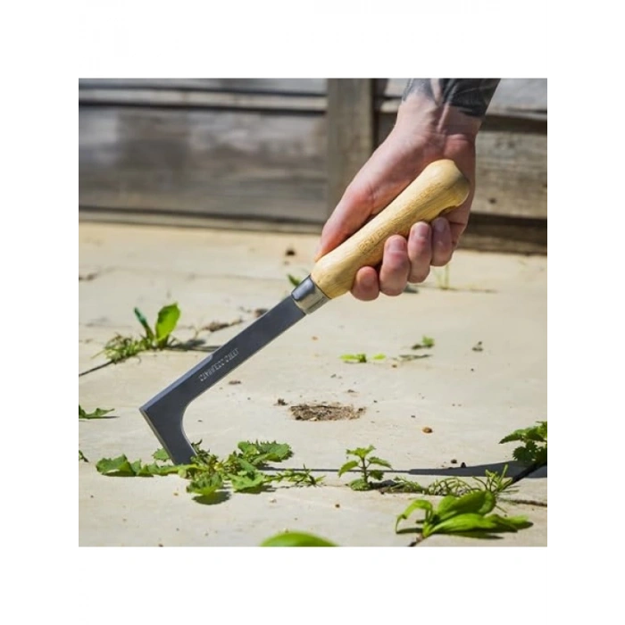 Ergonomik Dişbudak Saplı Paslanmaz Çelik Bahçe Ayıklama Bıçağı