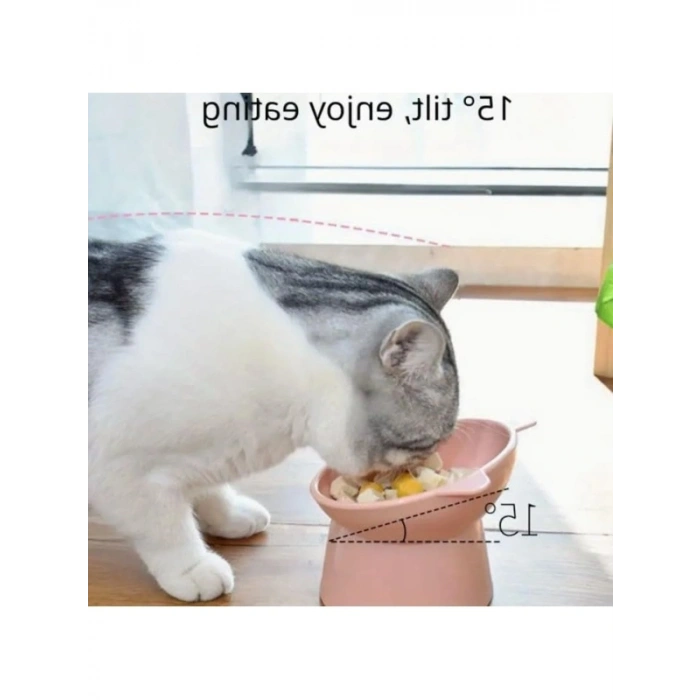 Ergonomik Mama ve Su Kabı Seti - 2li