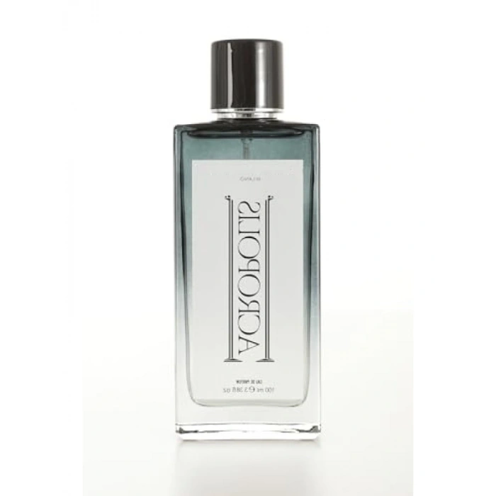 Erkek Parfümü - 100 ml, Ferah ve Çekici Koku