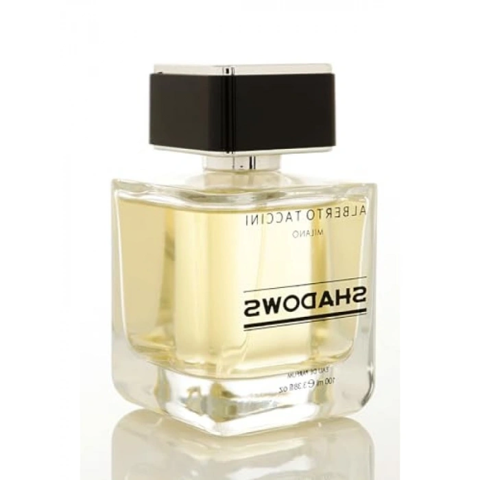 Erkek Parfümü - Ferah ve Çekici - 100 ml