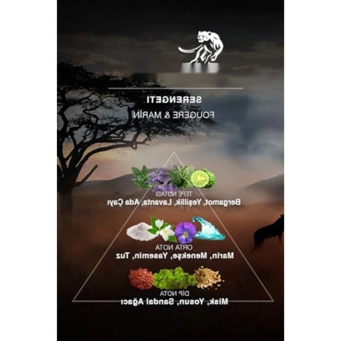 Erkek Parfümü - Fougere & Marine