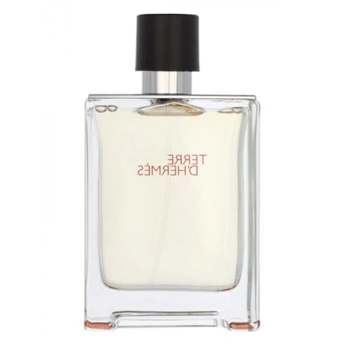Erkekler İçin Ferahlatıcı Parfüm 100 ml