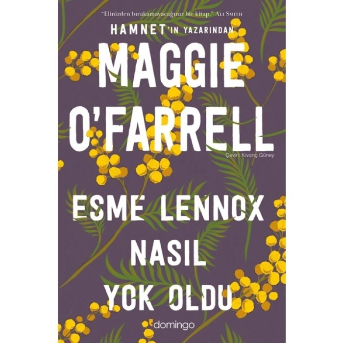 Esme Lennox Nasıl Yok Oldu - Maggie Ofarrell