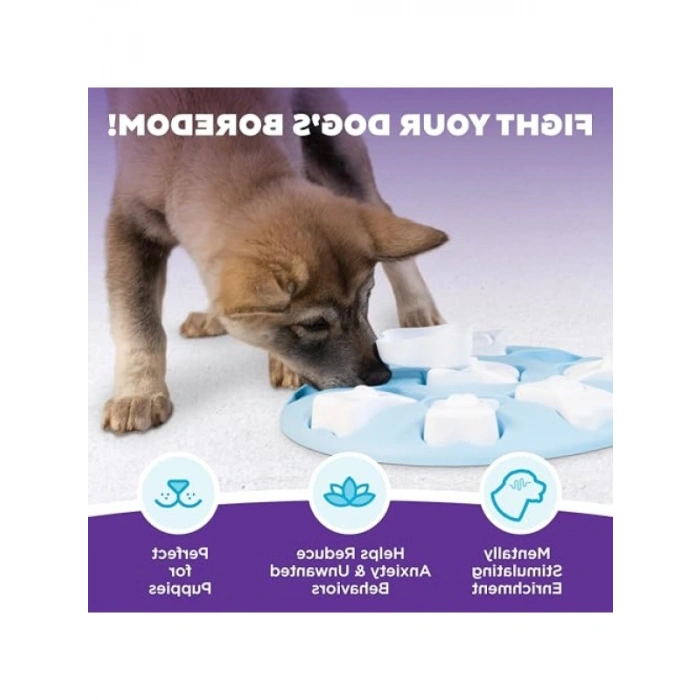 Etkileşimli Düşünme Oyuncağı, 9 Gizli Bölmeli