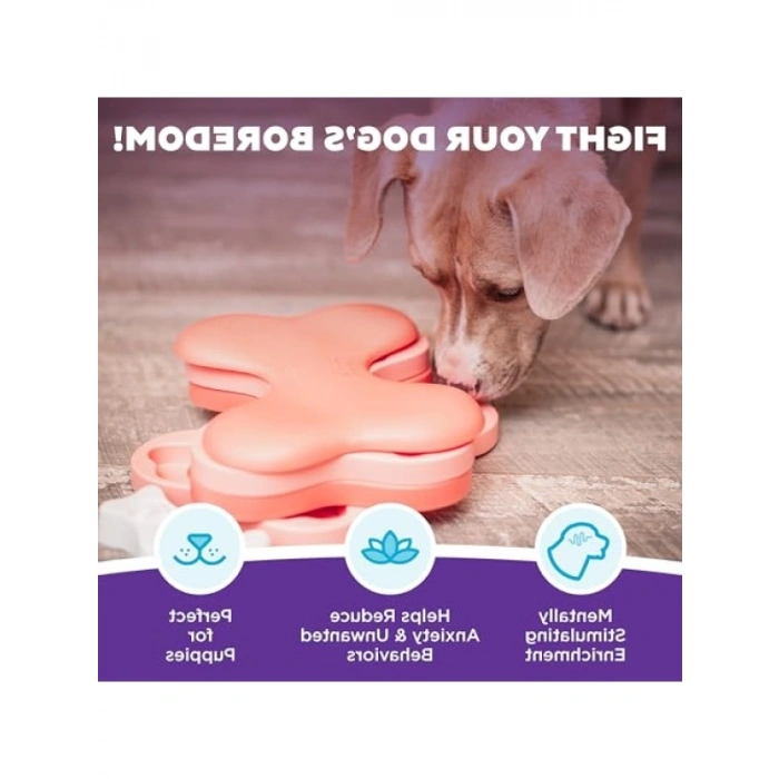 Etkileşimli Düşünme Oyuncağı - Orta Zorluk Seviyesinde Ödül Dağıtıcı