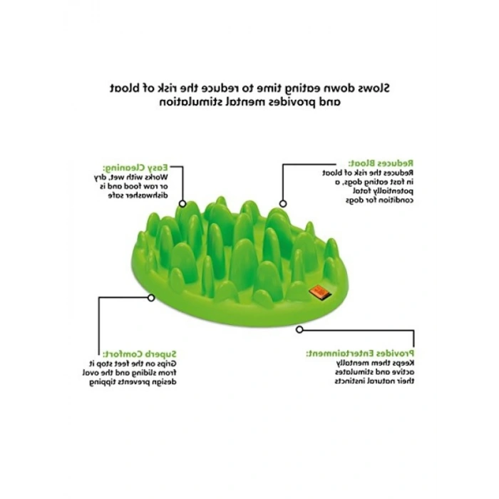 Etkileşimli Yavaş Kedi Besleyici