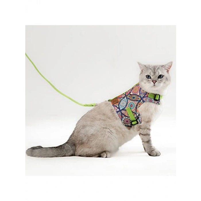 Etnik Yeşil Renkli Kedi ve Küçük Köpek Gezdirme Tasması