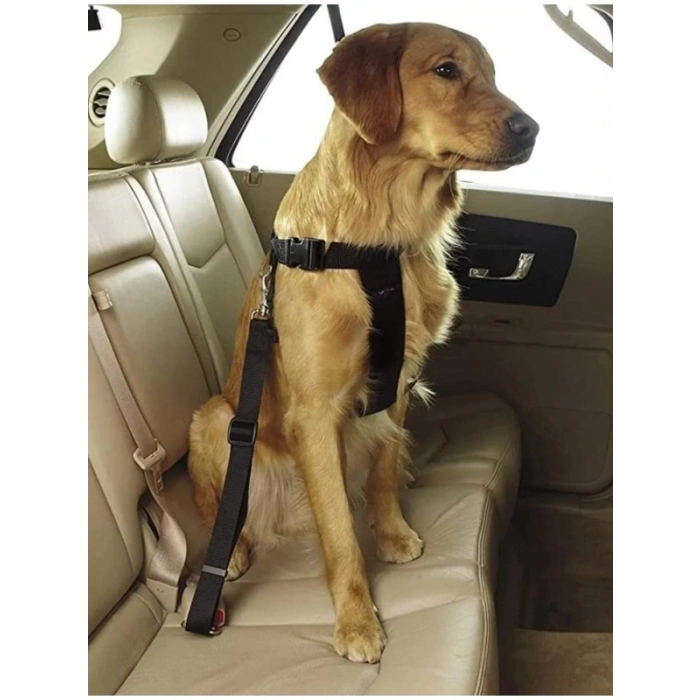 Evcil Hayvan Araç Emniyet Kemeri
