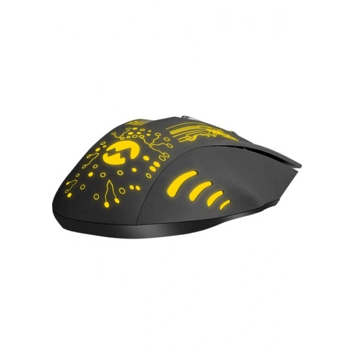 Everest SM-790 SWANKY Siyah 3200 DPI Gaming Oyuncu Mouse