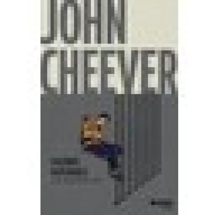 Falconer Hapishanesi - John Cheever