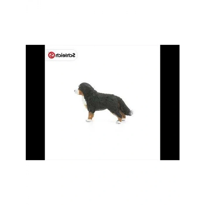 -Farm World-Dişi Bernese