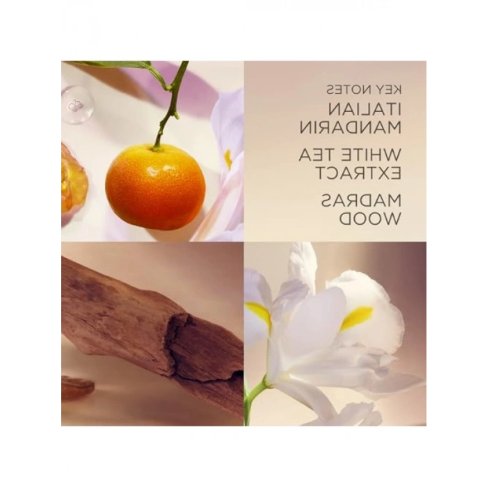 Ferahlatıcı Deodorant Krem - 40 ml