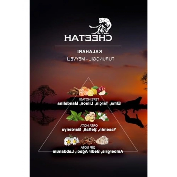 Ferahlatıcı Erkek Parfüm - Hesperidic & Fruity, 100 ml