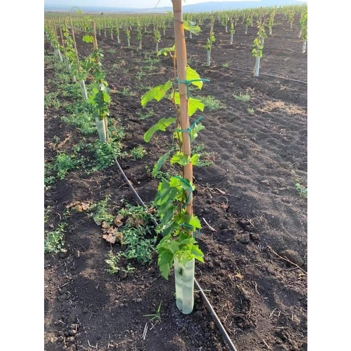 Fidan Bağlama İpi, 3.5 mm Kalınlıkta, 220 mt Uzunlukta