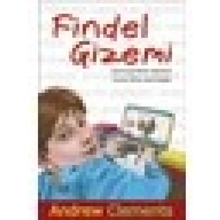 Findel Gizemi - Andrew Clements