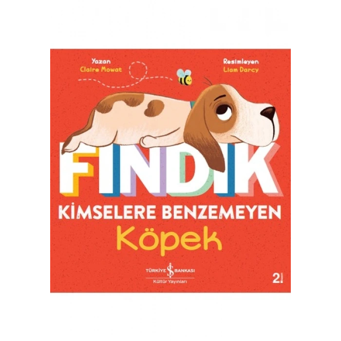 Fındık Kimselere Benzemeyen Köpek - Claire Mowat