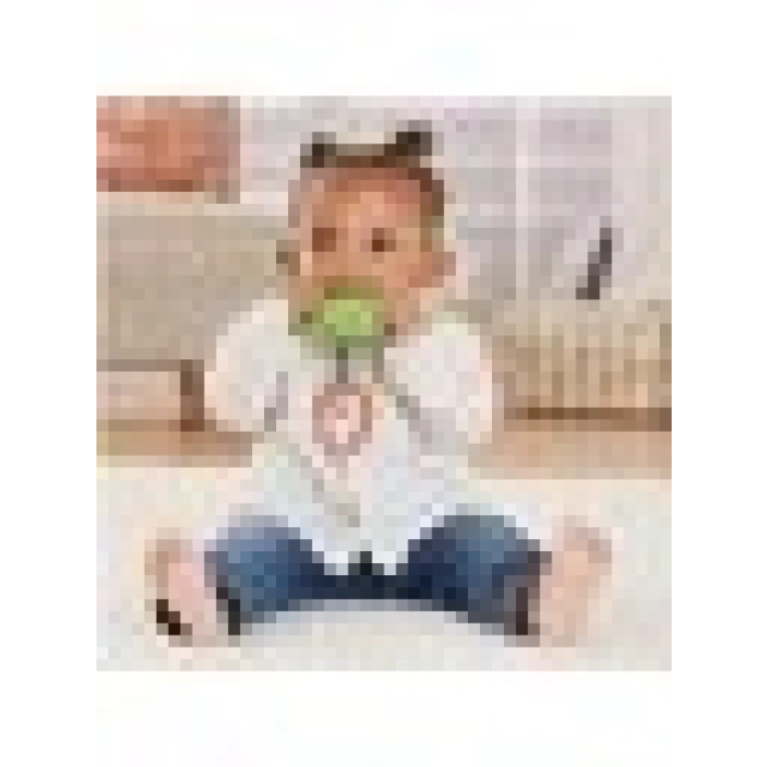 Fisher Price Sevimli Hayvancıklar Dişlikler GYN23 GYV37 Salyangoz