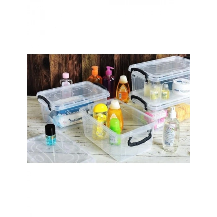 Kapaklı Şeffaf Saklama Kabı Seti, 4 Adet, 5 Lt, 31x20x14 cm