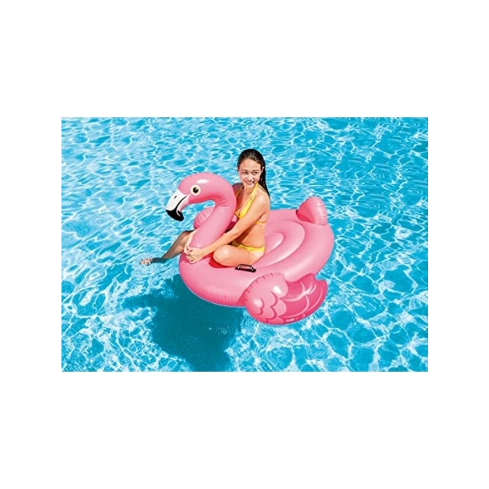 Flamingo Temalı Şişme Ürün ve Su Sporları Aksesuarı (178 cm)