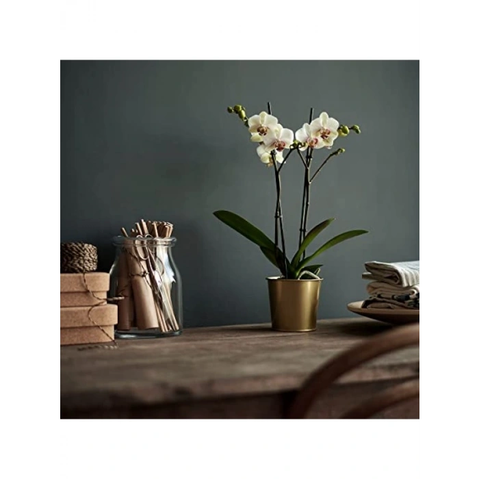 Galvanizli Çelik Yuvarlak Saksı - 9 cm