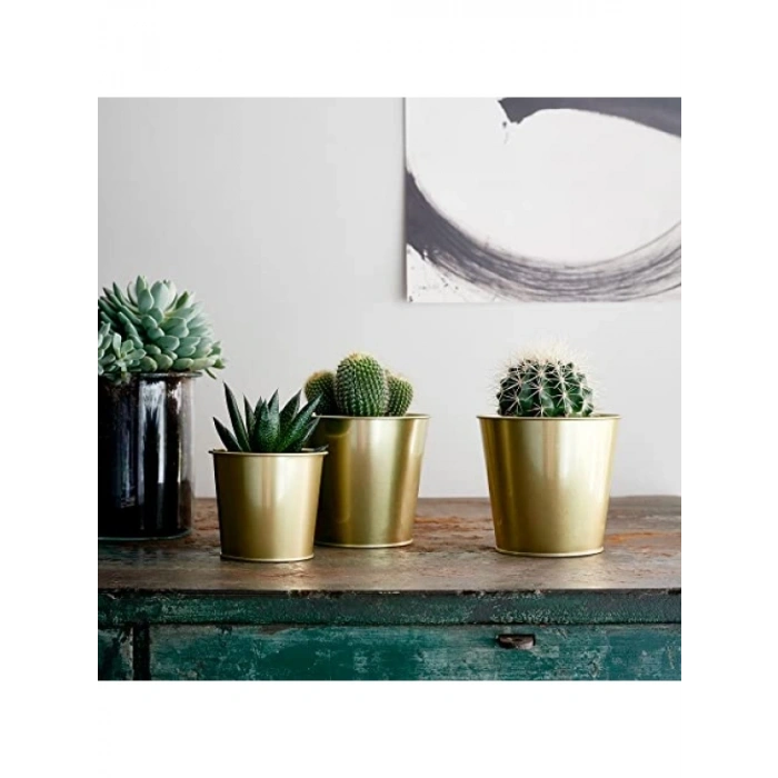 Galvanizli Çelik Yuvarlak Saksı - 9 cm