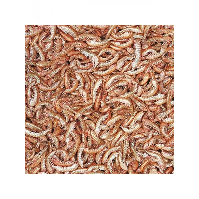 Gammarus Balık Yemi, 100 ml, 12 Gram Ağırlığında
