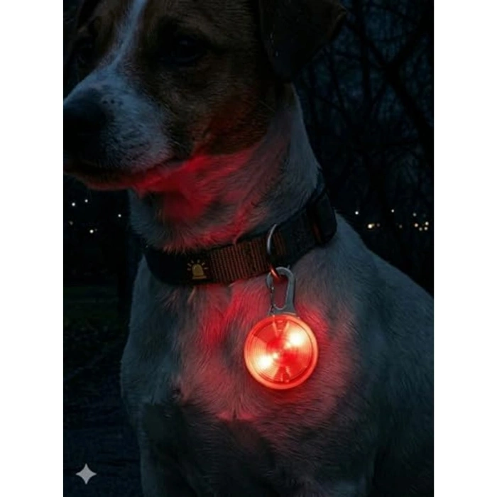Gece Görünürlük İçin LED Köpek Tasma Işığı, Suya Dayanıklı