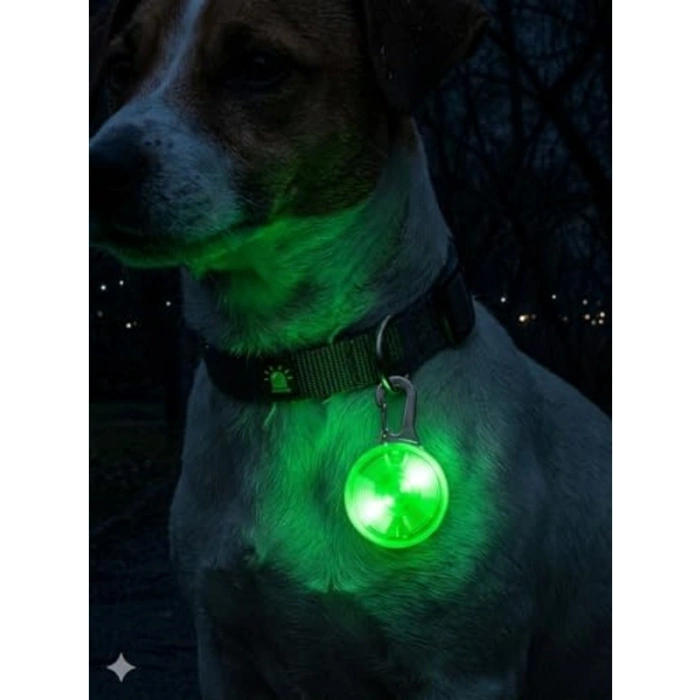 Gece Görünürlük İçin LED Köpek Tasma Işığı, Suya Dayanıklı