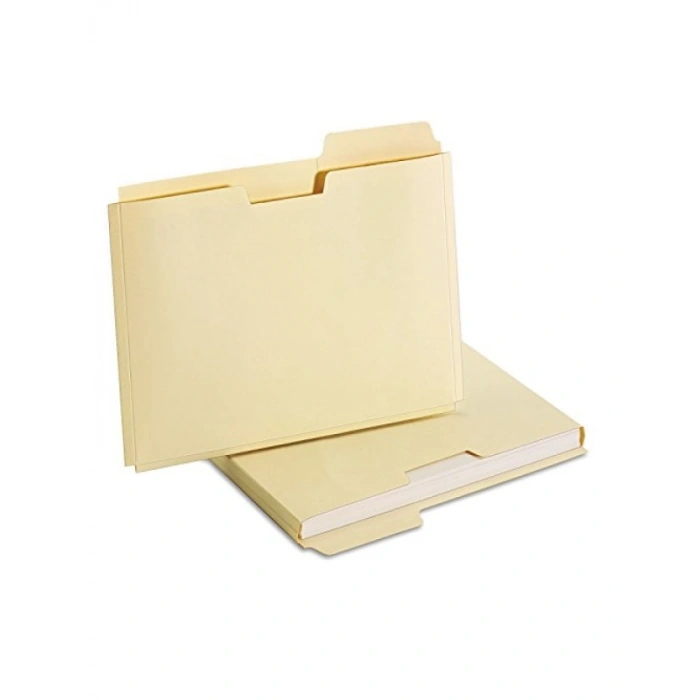 Genişleyen Dosya Klasörü, 10 Cebi, Mektup Boyutu