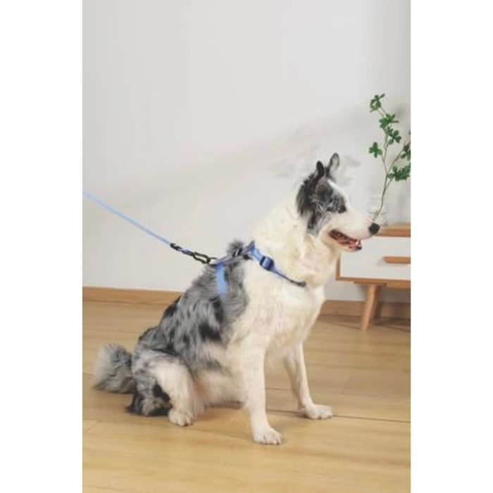 GENTLE DOG GÖĞÜS TASMASI BLUE (L)