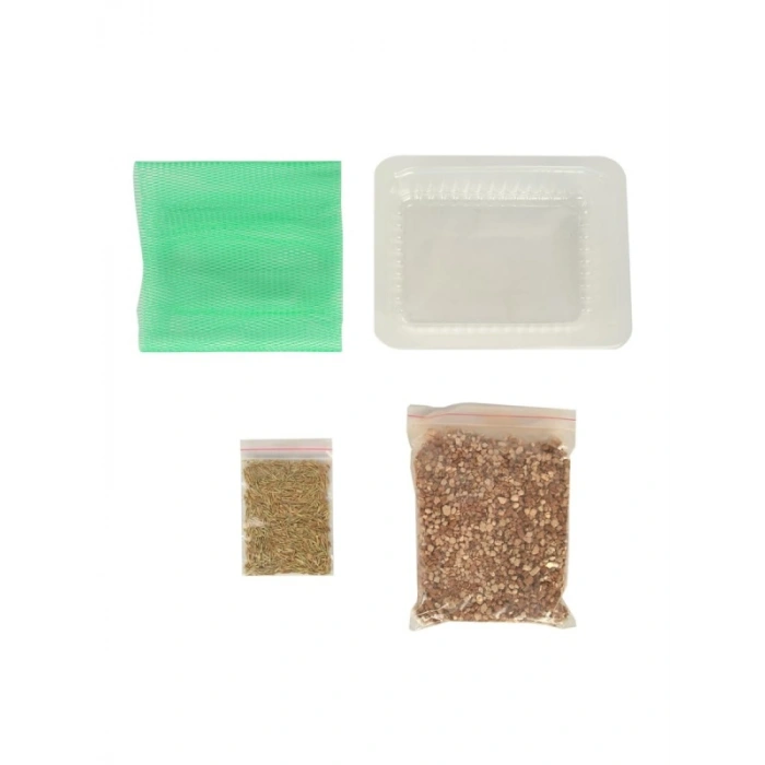 Gerçek Topraklı Kedi Çimi