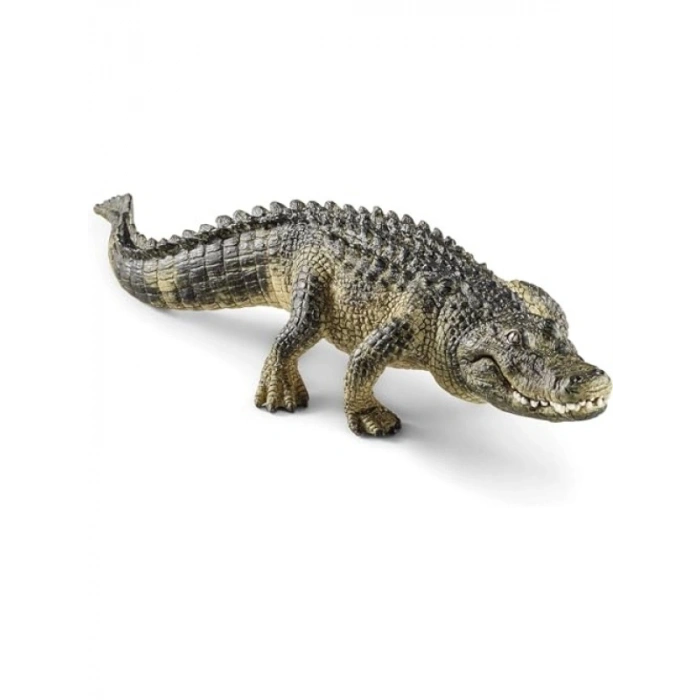 Gerçekçi Amerikan Timsahı Figürü